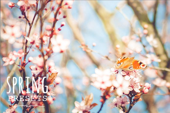 Pastel Presets - Spring - 60 весенних пресетов для_0.jpg